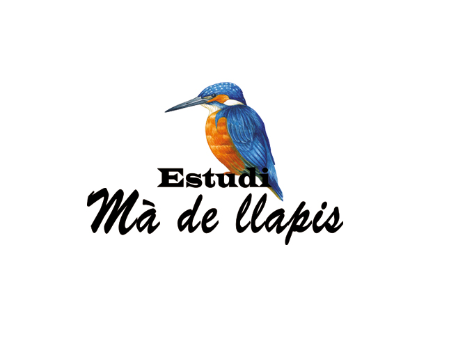 Estudi mà de llàpis