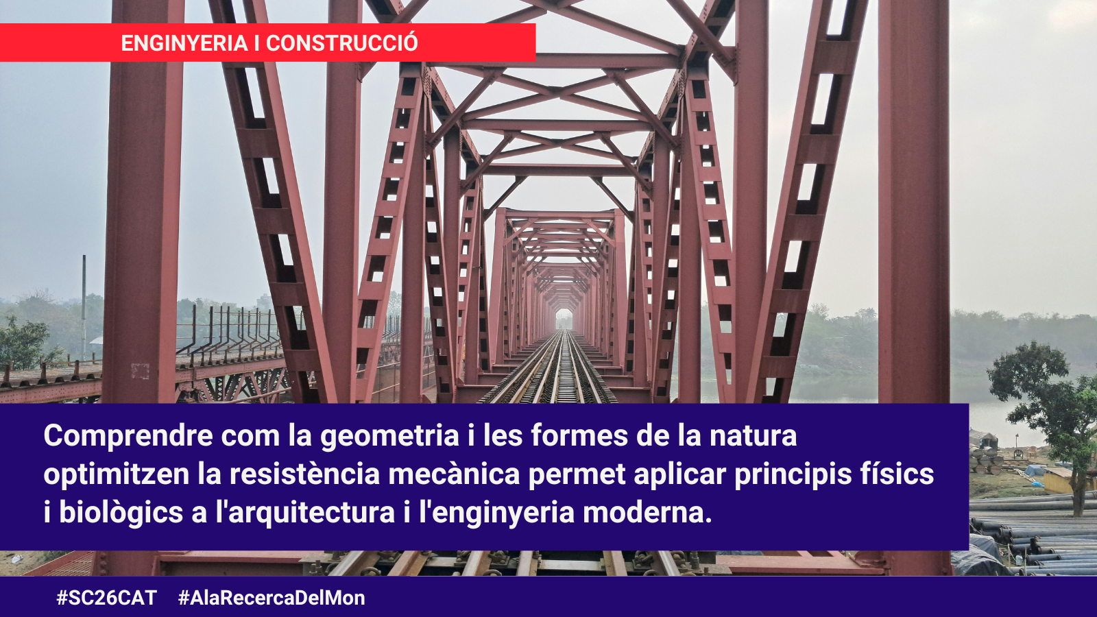 A la recerca del món - ZER Montsant