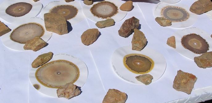 Cromatografia d'aliments