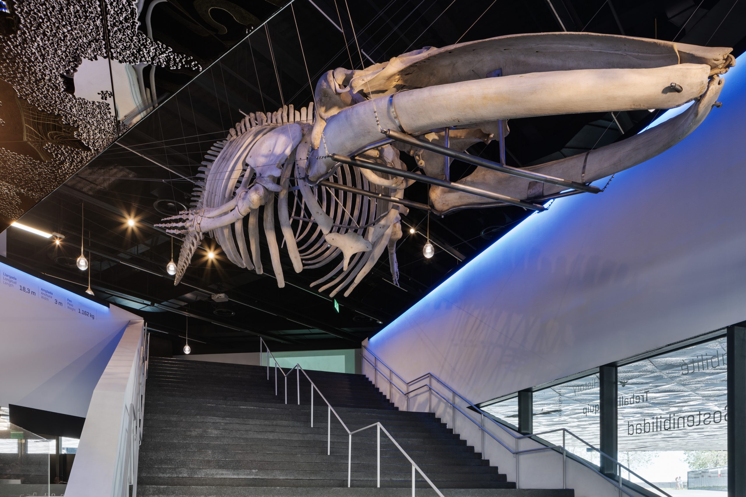 Entrada gratuïta al Museu de Ciències Naturals de Barcelona (Parc del Fòrum)