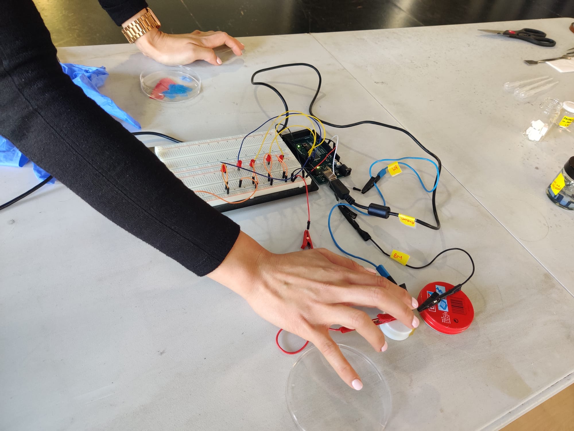 Polymers and sensors: Did you know that your body is full of biosensors that allow you to interact with your environment?