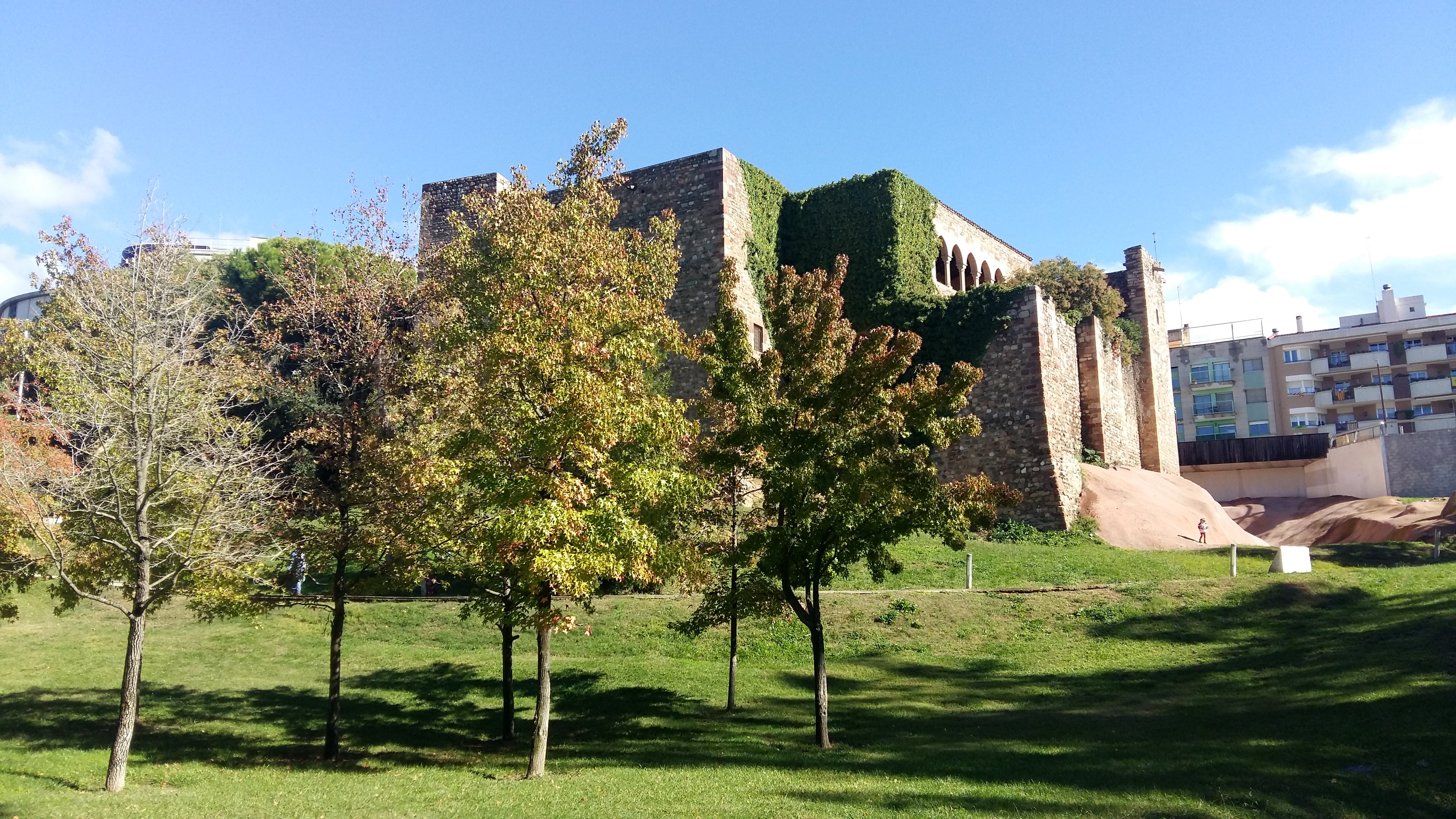 Portes obertes al Castell Cartoixa de Vallparadís