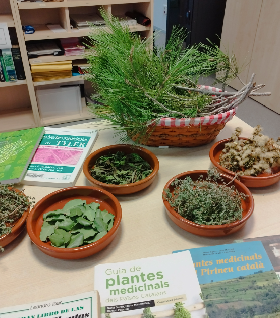 Taller pràctic de cosmètica natural: salut per la teva pell!
