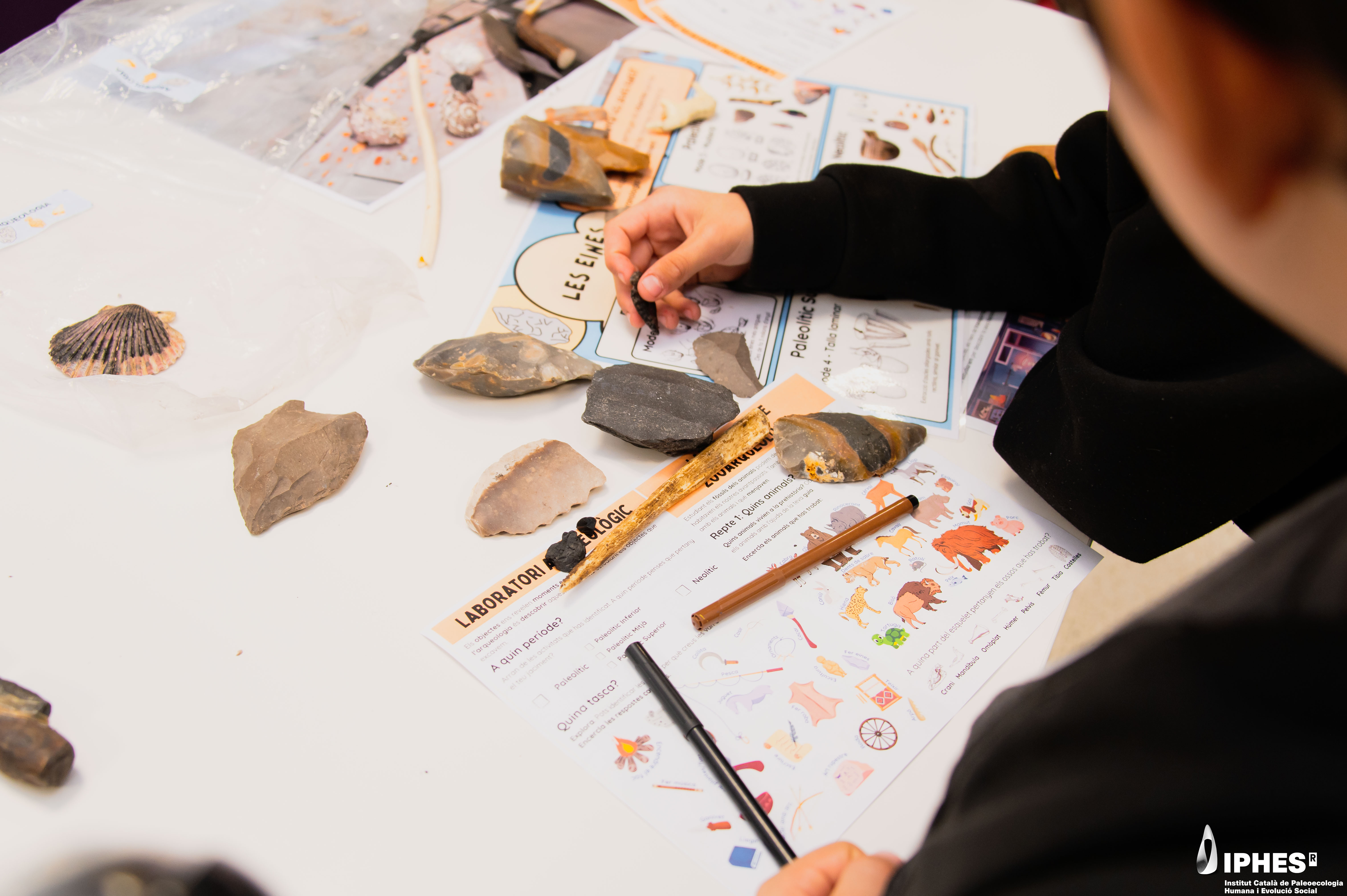 Arqueolab: descobrim la prehistòria