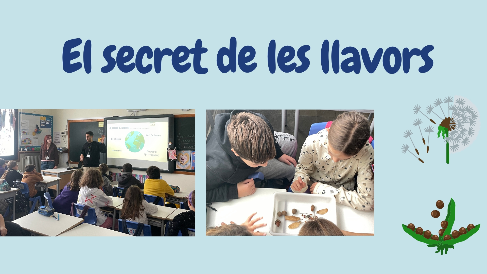 Activitat escolar: 'Ciència a Marimurtra: El secret de les llavors'