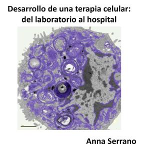 Conferència:  Desenvolupament d’una teràpia cel·lular: del laboratori a l’hospital