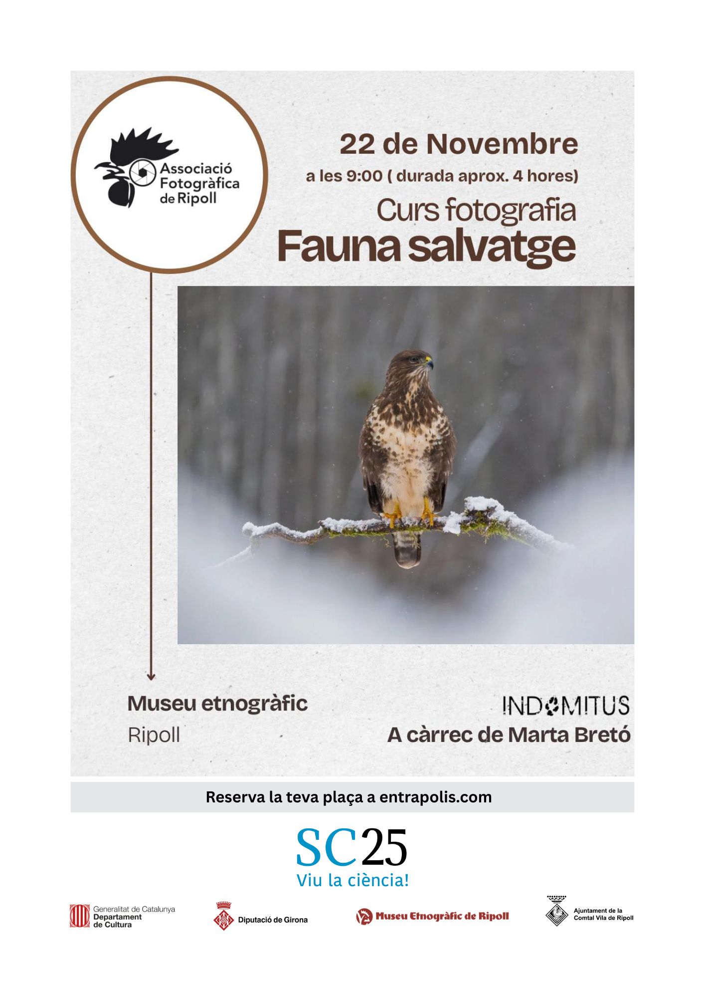 Curs de fotografia de fauna salvatge