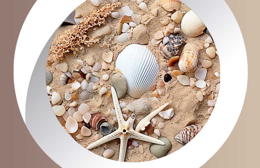 Explora: La Platja. Aprendre del mar a través de les restes marines