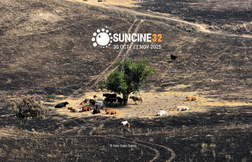 SUNCINE. 32a edició del Festival Internacional de Cinema del Medi Ambient